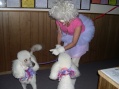 Georgene and her Poodles