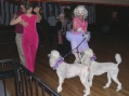 Dogs on the Dance Floor